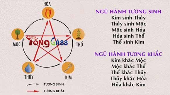 Cách xem màu mạng gà chọi Cách xem màu mạng gà chọi