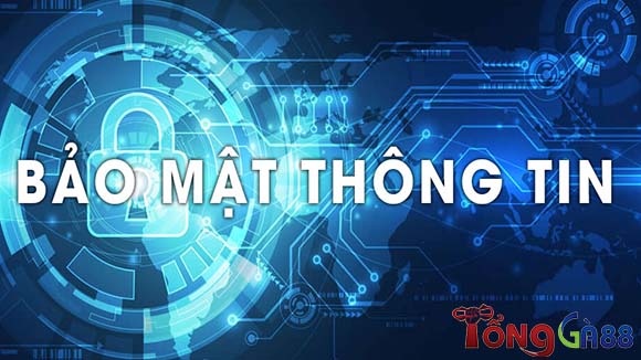 Hoạt động chính sách bảo mật cơ bản tại nhà cái Hoạt động chính sách bảo mật cơ bản tại nhà cái