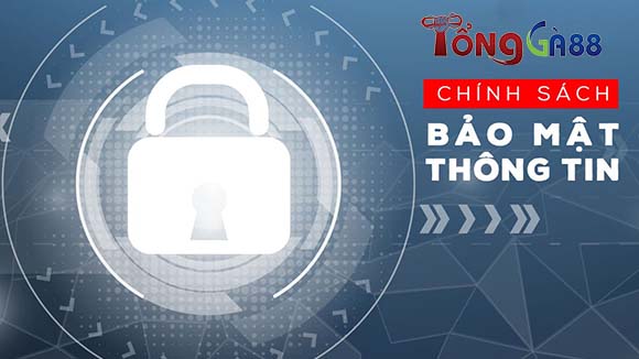 Tôn trọng và bảo vệ quyền lợi của người chơi Tôn trọng và bảo vệ quyền lợi của người chơi