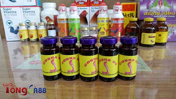 Top thuốc nuôi gà đá Top thuốc nuôi gà đá