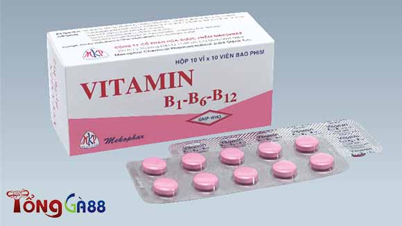 Vitamin bổ sung nuôi gà đá Vitamin bổ sung nuôi gà đá
