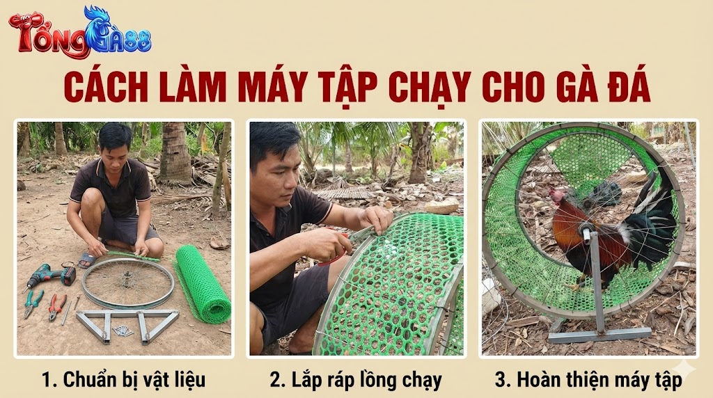 Cách Làm Máy Tập Chạy Cho Gà