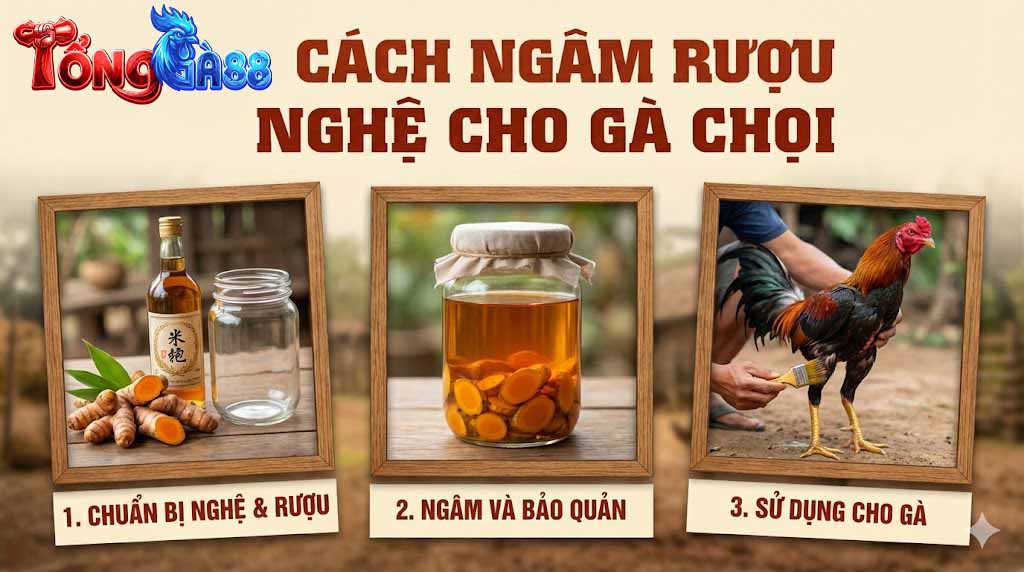 Cách ngâm rượu nghệ cho gà chọi