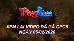 Xem Lại Video Đá Gà CPC5 Ngày 05/02/2026