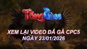 Xem Lại Video Đá Gà CPC5 Ngày 23/01/2026
