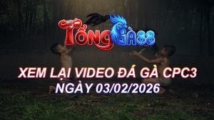 Xem Lại Video Đá Gà CPC3 Ngày 03/02/2026