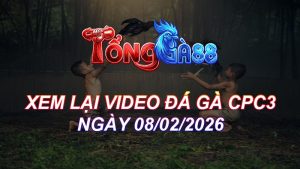 Xem Lại Video Đá Gà CPC3 Ngày 08/02/2026