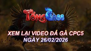 Xem Lại Video Đá Gà CPC5 Ngày 26/02/2026