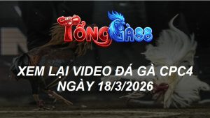 Xem Lại Video Đá Gà CPC4 Ngày 18/03/2026