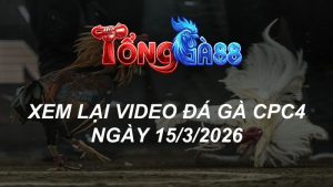Xem Lại Video Đá Gà CPC4 Ngày 15/03/2026