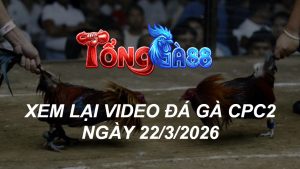 Xem Lại Video Đá Gà CPC2 Ngày 22/03/2026