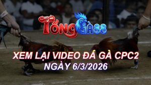 Xem Lại Video Đá Gà CPC2 Ngày 06/03/2026