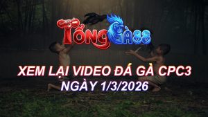 Xem Lại Video Đá Gà CPC3 Ngày 01/03/2026