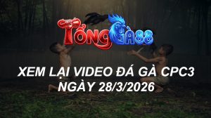 Xem Lại Video Đá Gà CPC3 Ngày 28/03/2026