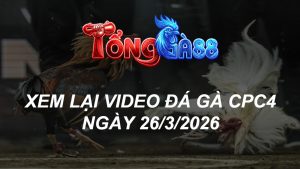 Xem Lại Video Đá Gà CPC4 Ngày 26/03/2026