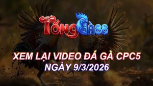 Xem Lại Video Đá Gà CPC5 Ngày 09/03/2026