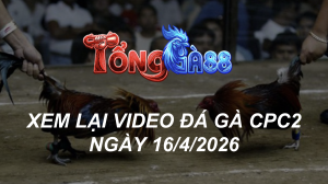 Xem Lại Video Đá Gà CPC2 Ngày 16/04/2026