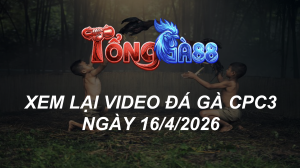Xem Lại Video Đá Gà CPC3 Ngày 16/04/2026