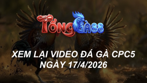 Xem Lại Video Đá Gà CPC5 Ngày 17/04/2026