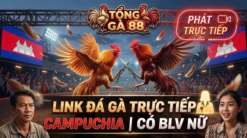 đá gà trực tiếp