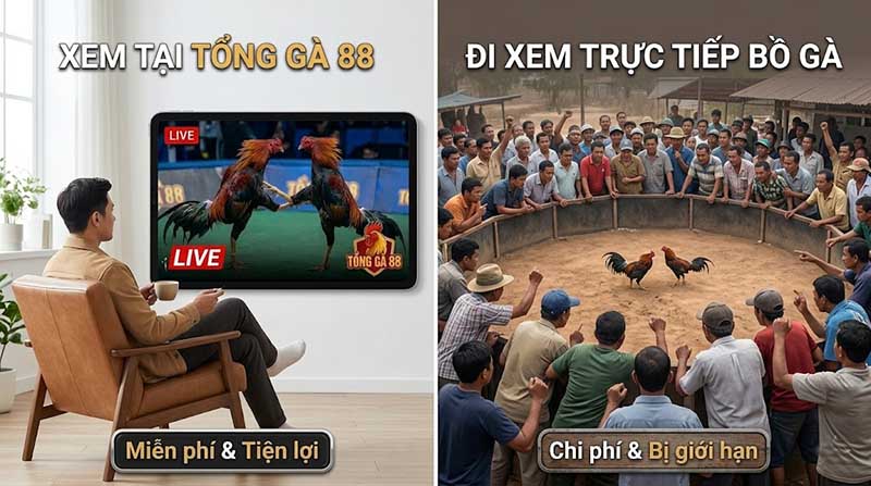 đá gà trực tiếp