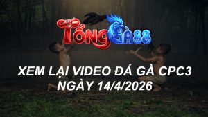 Xem Lại Video Đá Gà CPC3 Ngày 14/04/2026