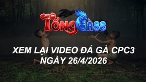 Xem Lại Video Đá Gà CPC3 Ngày 26/04/2026