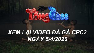 Xem Lại Video Đá Gà CPC3 Ngày 05/04/2026