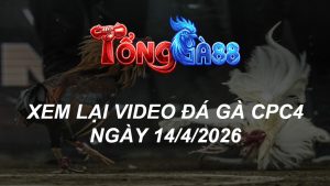 Xem Lại Video Đá Gà CPC4 Ngày 14/04/2026