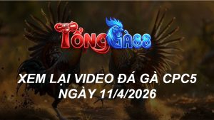 Xem Lại Video Đá Gà CPC5 Ngày 11/04/2026