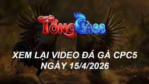 Xem Lại Video Đá Gà CPC5 Ngày 15/04/2026