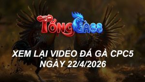 Xem Lại Video Đá Gà CPC5 Ngày 22/04/2026