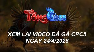 Xem Lại Video Đá Gà CPC5 Ngày 24/04/2026