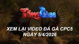 Xem Lại Video Đá Gà CPC5 Ngày 05/04/2026