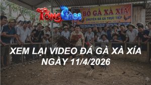 Xem Lại Video Đá Gà XAXIA Ngày 11/04/2026