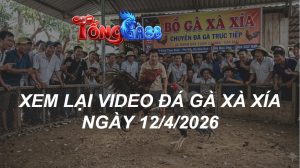 Xem Lại Video Đá Gà XAXIA Ngày 12/04/2026