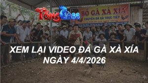 Xem Lại Video Đá Gà XAXIA Ngày 04/04/2026